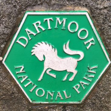 Dartmoor National Park Pilot