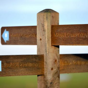 Supporting The Asset Management Journey